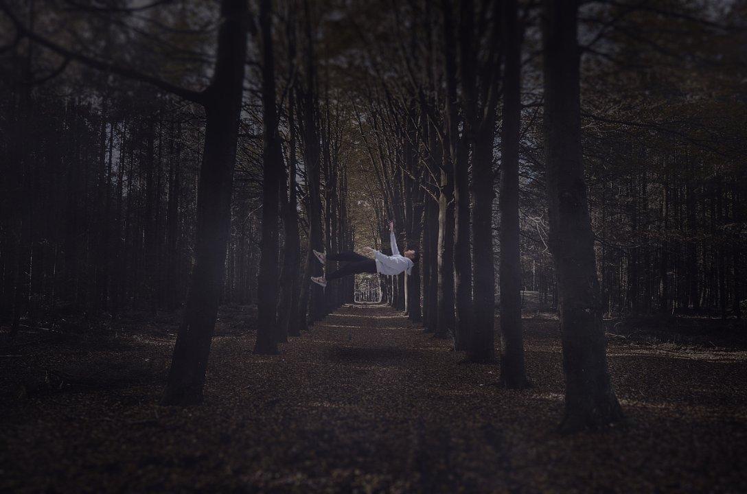 解救野生狐狸